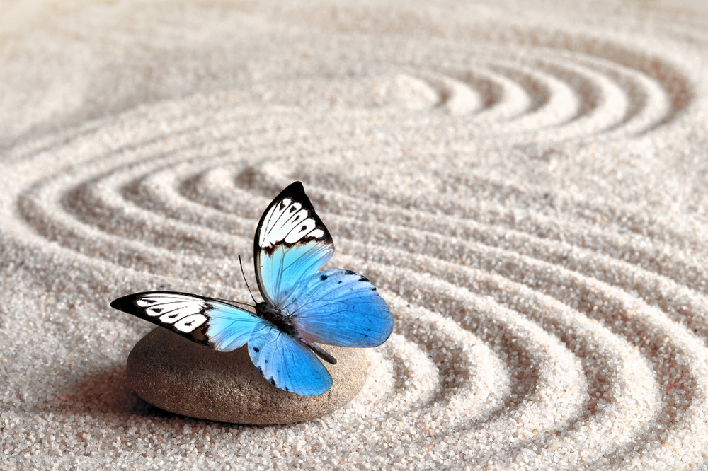 Séance découverte d'art-thérapie intuitive et peinture à 65 euros.